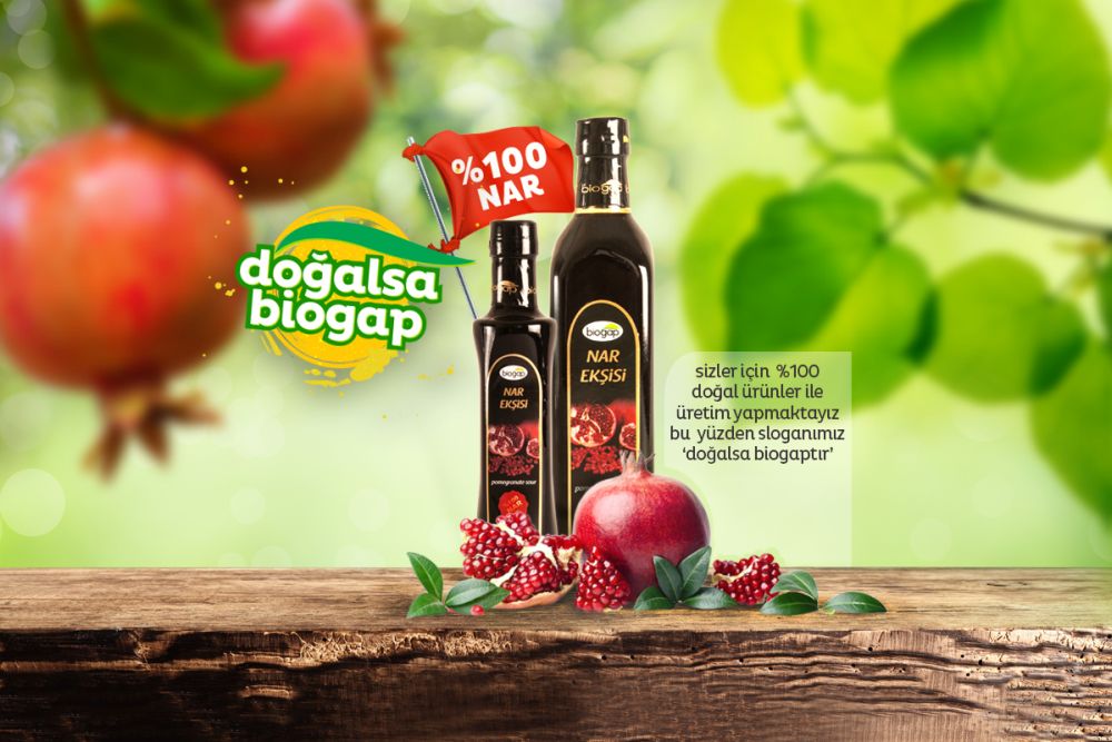 Katalog Tasarım Ankara Biogap Kurumsal