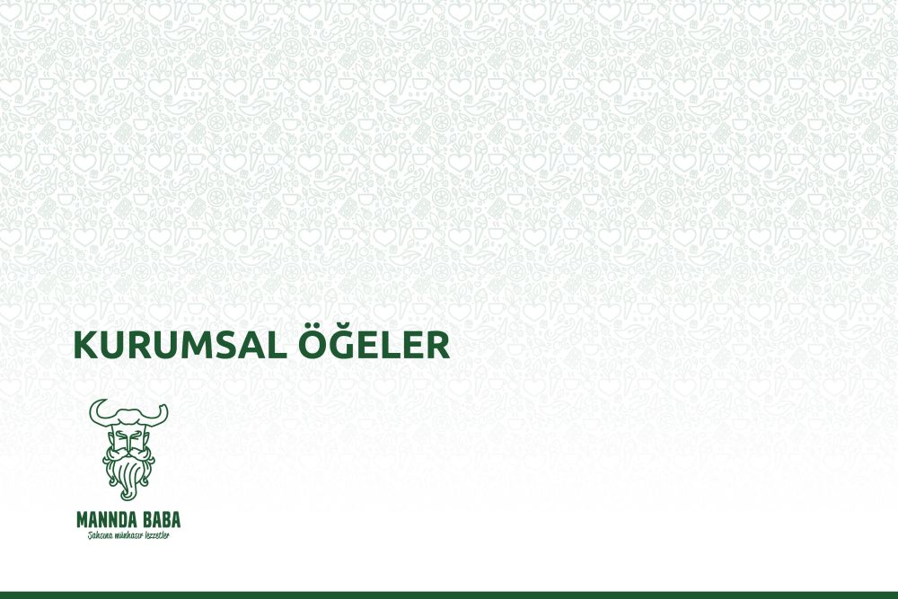 Katalog Tasarım Ankara Mannda Baba Kurumsal