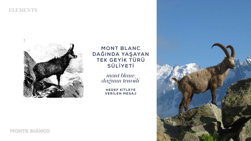 Katalog Tasarım Ankara Monte Bianco Sunum