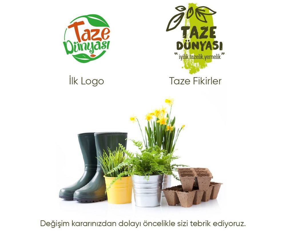 Katalog Tasarım Ankara Taze Dünyası