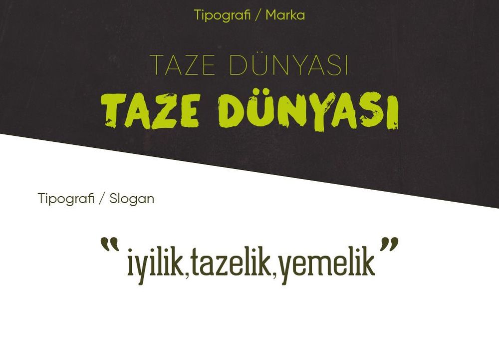 Katalog Tasarım Ankara Taze Dünyası