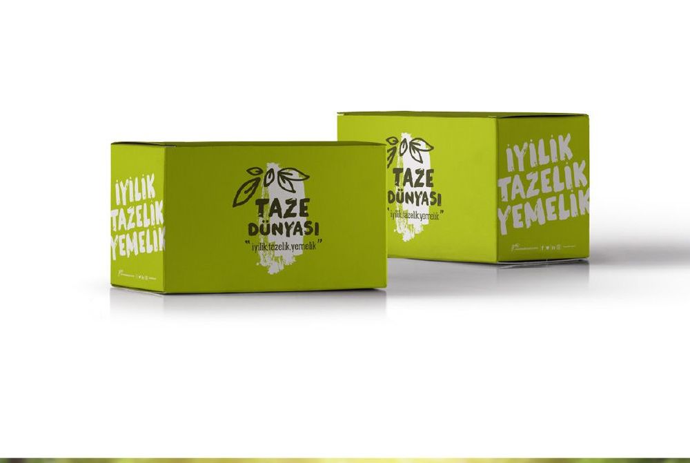 Katalog Tasarım Ankara Taze Dünyası