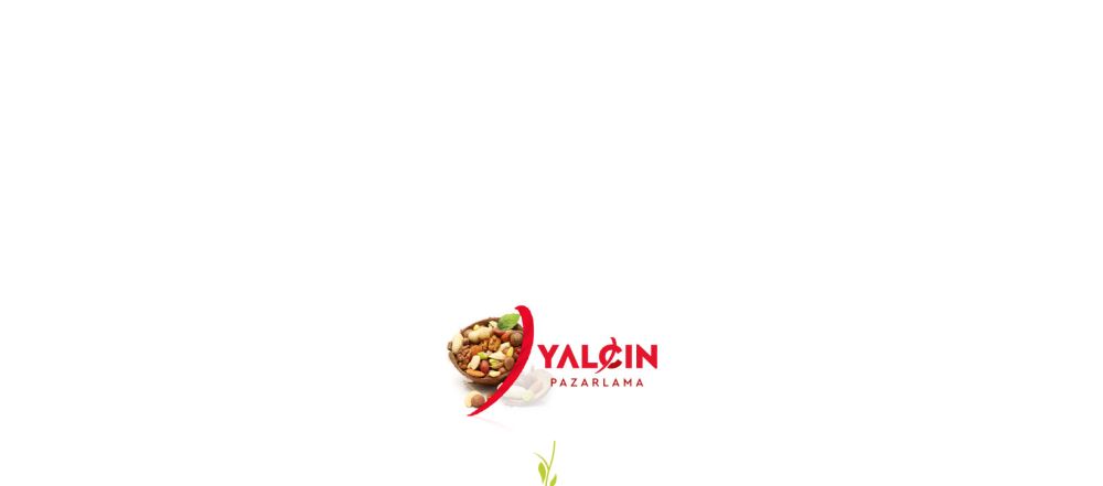 Katalog Tasarım Ankara Yalçın Pazarlama