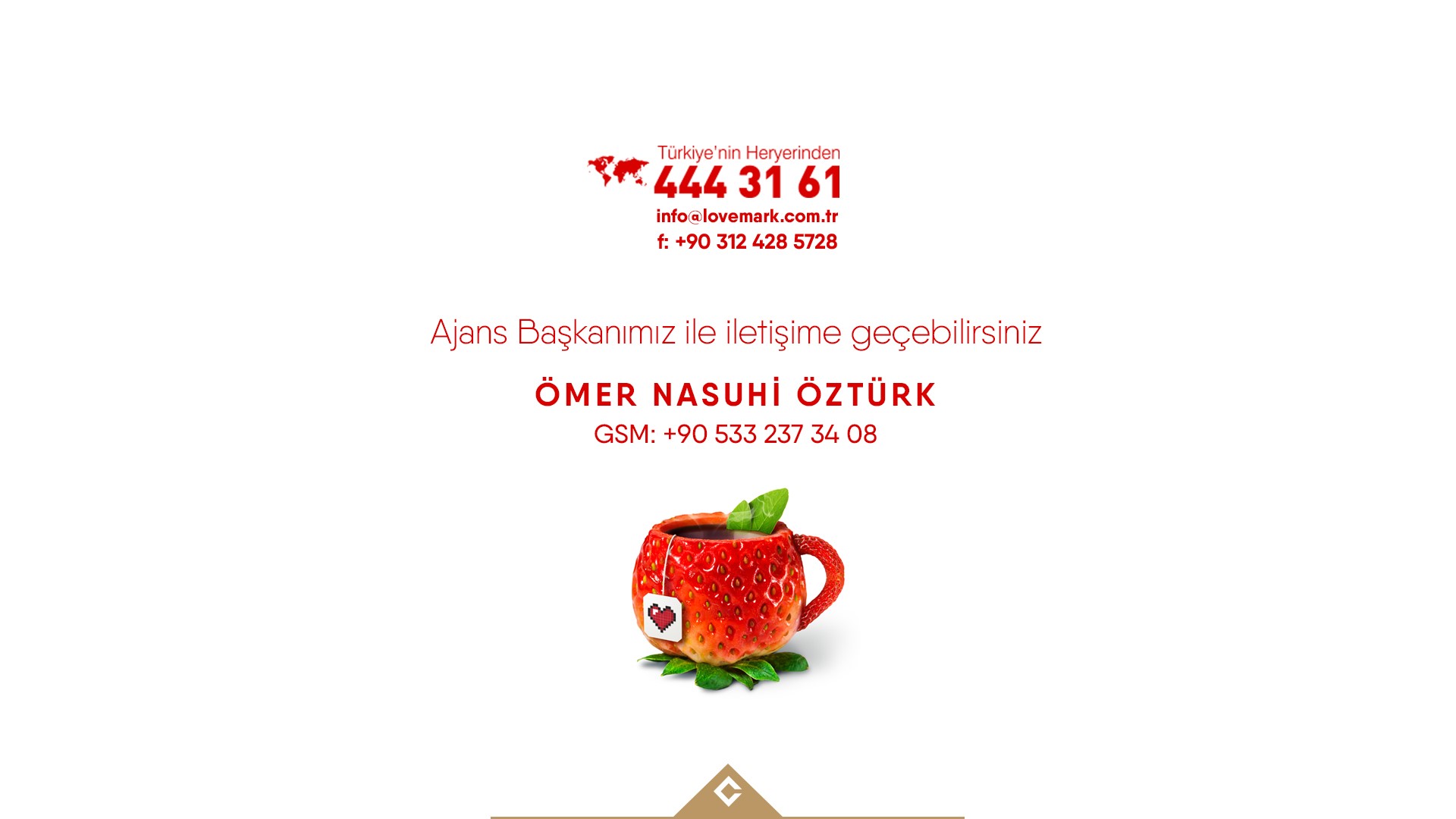  Katalog Tasarım Ankara 